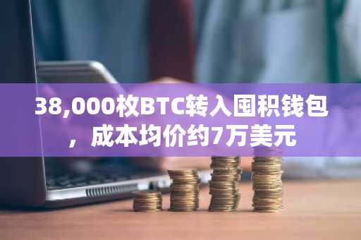 38,000枚BTC转入囤积钱包，成本均价约7万美元