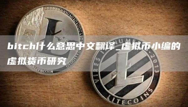 bitch什么意思中文翻译_虚拟币小编的虚拟货币研究