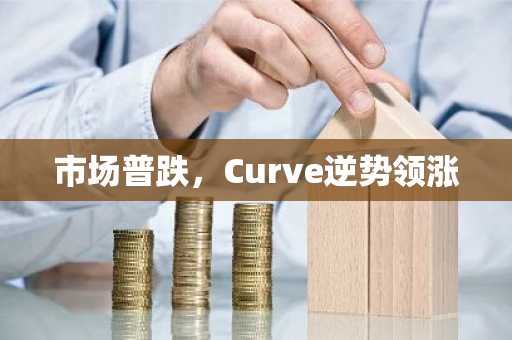 市场普跌，Curve逆势领涨