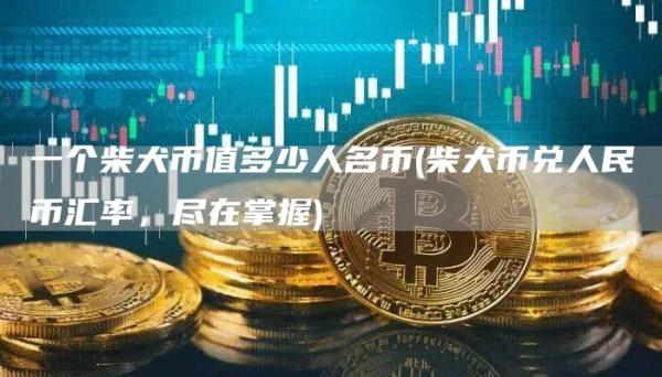 一个柴犬币值多少人名币 - 柴犬币兑人民币汇率,尽在掌握
