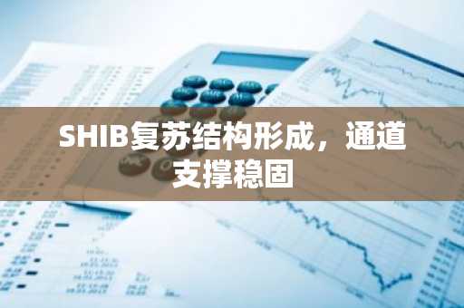 SHIB复苏结构形成，通道支撑稳固