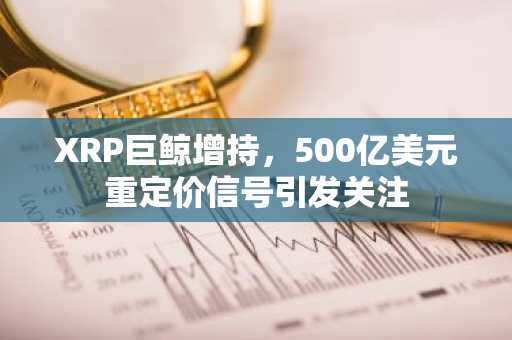 XRP巨鲸增持，500亿美元重定价信号引发关注