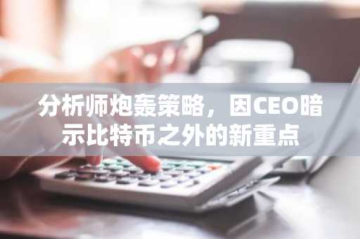 分析师炮轰策略，因CEO暗示比特币之外的新重点