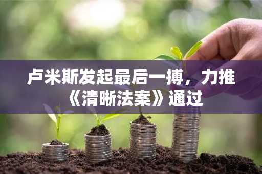 卢米斯发起最后一搏，力推《清晰法案》通过
