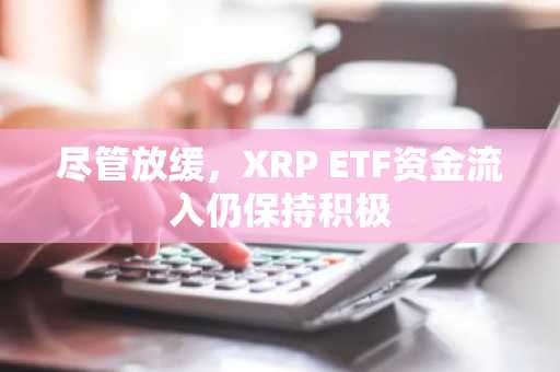 尽管放缓,XRP ETF资金流入仍保持积极