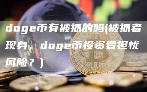 doge币有被抓的吗 - 被抓者现身,doge币投资者担忧风险?