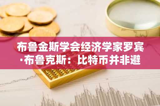 布鲁金斯学会经济学家罗宾·布鲁克斯:比特币并非避险资产或价值储存工具