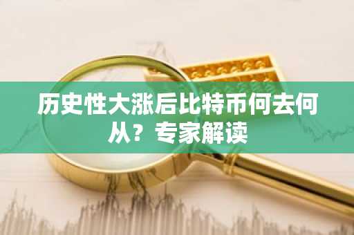 历史性大涨后比特币何去何从？专家解读