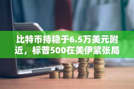 比特币持稳于6.5万美元附近，标普500在美伊紧张局势后反弹