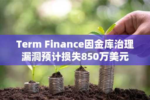Term Finance因金库治理漏洞预计损失850万美元