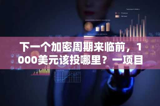下一个加密周期来临前,1000美元该投哪里?一项目24小时吸金200万