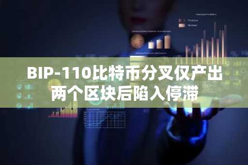 BIP-110比特币分叉仅产出两个区块后陷入停滞