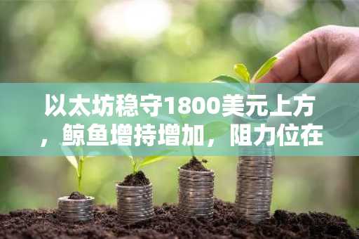 以太坊稳守1800美元上方,鲸鱼增持增加,阻力位在1922美元