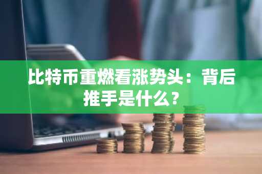 比特币重燃看涨势头：背后推手是什么？
