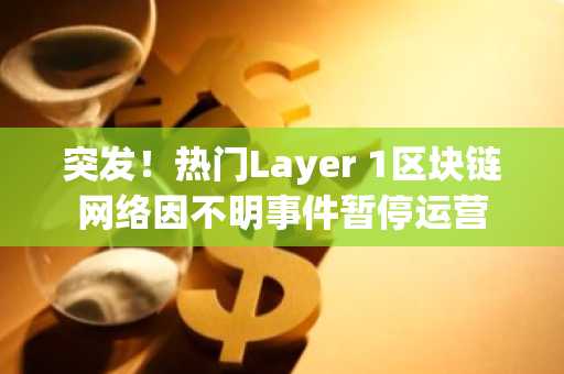 突发！热门Layer 1区块链网络因不明事件暂停运营