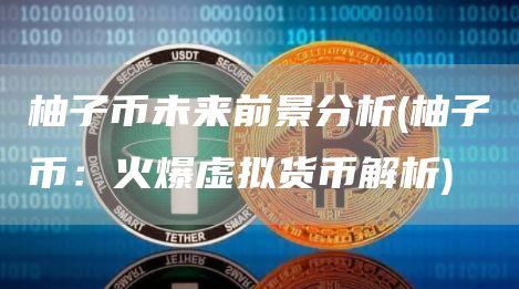 柚子币未来前景分析 - 柚子币:火爆虚拟货币解析