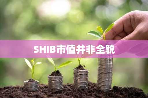 SHIB市值并非全貌