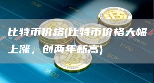 比特币价格 - 比特币价格大幅上涨,创两年新高