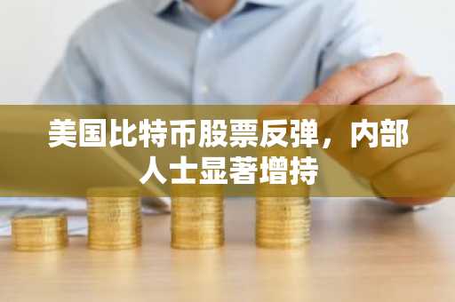 美国比特币股票反弹，内部人士显著增持