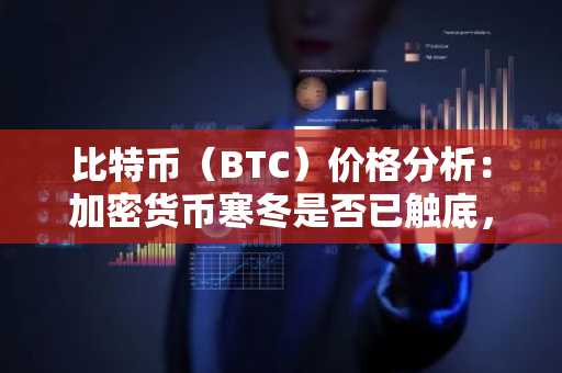 比特币(BTC)价格分析:加密货币寒冬是否已触底,还是价格将进一步下跌?
