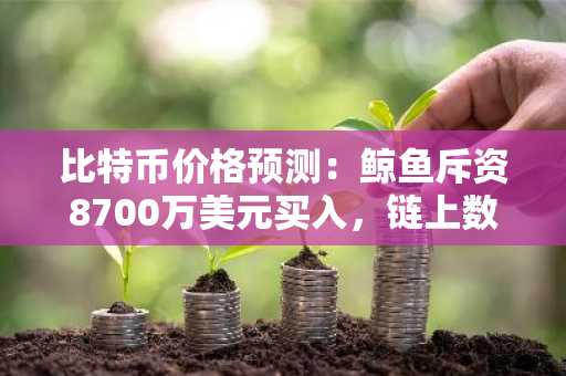 比特币价格预测：鲸鱼斥资8700万美元买入，链上数据激增