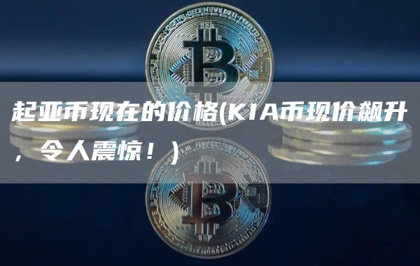 起亚币现在的价格 - KIA币现价飙升,令人震惊!