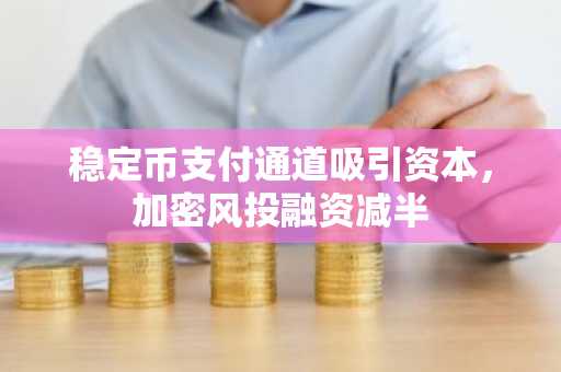 稳定币支付通道吸引资本,加密风投融资减半