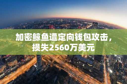 加密鲸鱼遭定向钱包攻击,损失2560万美元