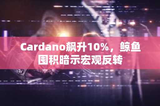 Cardano飙升10%,鲸鱼囤积暗示宏观反转