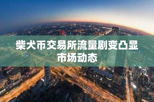 柴犬币交易所流量剧变凸显市场动态