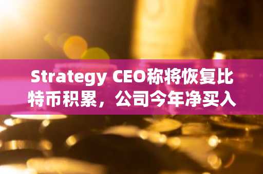 Strategy CEO称将恢复比特币积累,公司今年净买入量达25倍