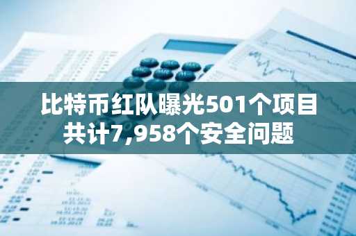 比特币红队曝光501个项目共计7,958个安全问题