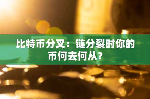 比特币分叉：链分裂时你的币何去何从？