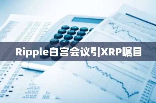 Ripple白宫会议引XRP瞩目
