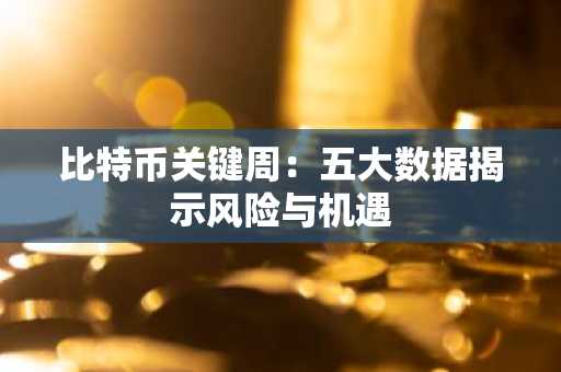 比特币关键周：五大数据揭示风险与机遇