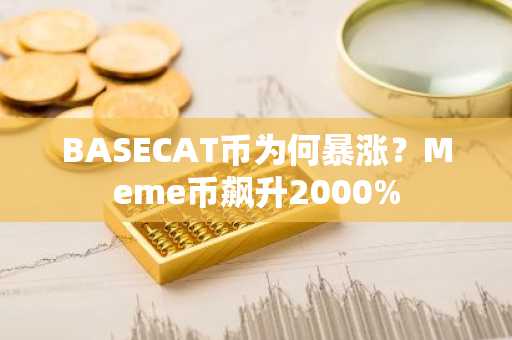 BASECAT币为何暴涨?Meme币飙升2000%