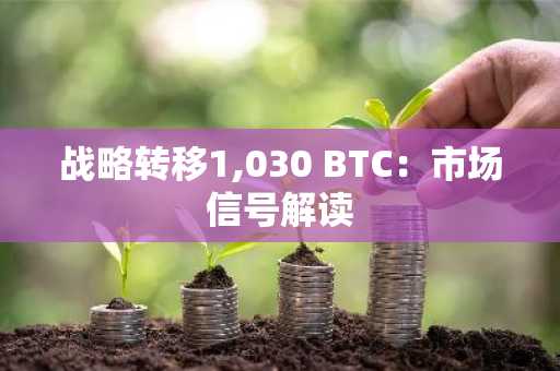 战略转移1,030 BTC：市场信号解读