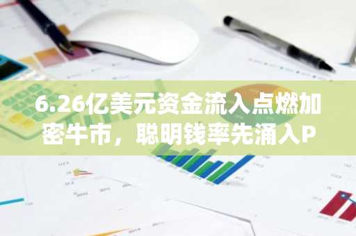 6.26亿美元资金流入点燃加密牛市,聪明钱率先涌入Pepeto