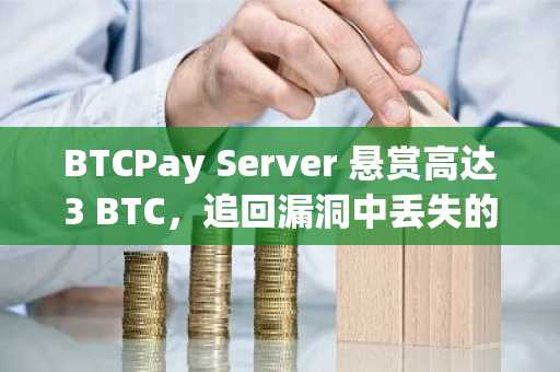 BTCPay Server 悬赏高达3 BTC，追回漏洞中丢失的资金