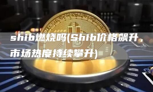 shib燃烧吗 - Shib价格飙升,市场热度持续攀升