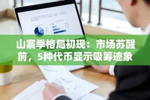 山寨季格局初现：市场苏醒前，5种代币显示吸筹迹象