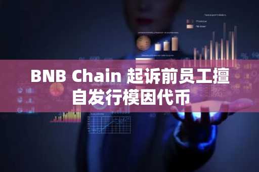 BNB Chain 起诉前员工擅自发行模因代币