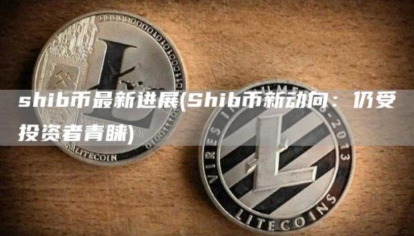 shib币最新进展 - Shib币新动向:仍受投资者青睐
