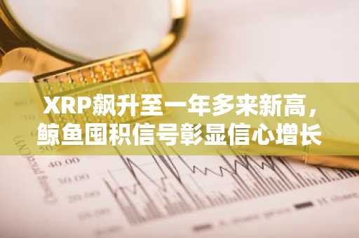 XRP飙升至一年多来新高,鲸鱼囤积信号彰显信心增长