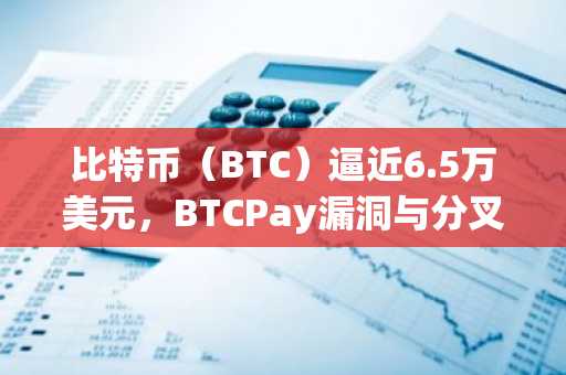 比特币(BTC)逼近6.5万美元,BTCPay漏洞与分叉担忧并存