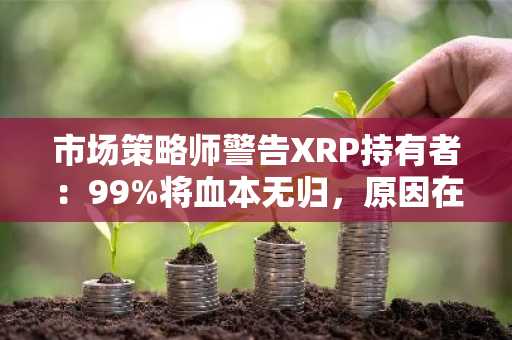 市场策略师警告XRP持有者：99%将血本无归，原因在此