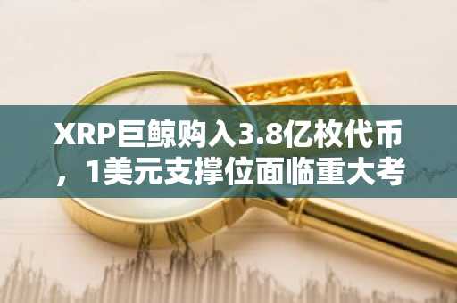 XRP巨鲸购入3.8亿枚代币，1美元支撑位面临重大考验