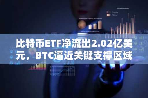 比特币ETF净流出2.02亿美元，BTC逼近关键支撑区域