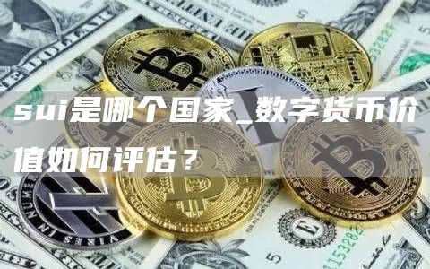 sui是哪个国家_数字货币价值如何评估？