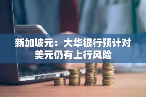 新加坡元：大华银行预计对美元仍有上行风险